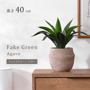 N[|500~OFFCeAO[ AKx 40cm i` i`CeA tFCNO[ ϗtA lHϗtA ~j tFCN CeA A  ͂Ȃ 