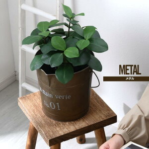 P3{N[|zzBe[WuLoPc AeB[NoPc CeAoPc ^oPc oPc uL̃oPc K[fjOoPc t[oPc CeAG