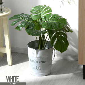 ubNtCf[{Be[WuLoPc AeB[NoPc CeAoPc ^oPc oPc uL̃oPc K[fjOoPc t[oPc Ce