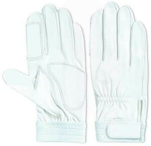 NO.149@XJX@v܁@SS`LLTCY