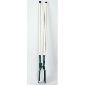 |Xgz[fBK[iVxj@[6458]