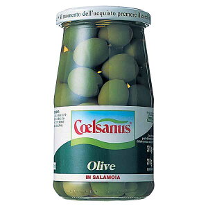 `FTkX O[I[u [r] 360g × 12[P[X̔] ({B̂) [e C^A (rl) 005119] Mtg v[g hV̓ Ε Ε