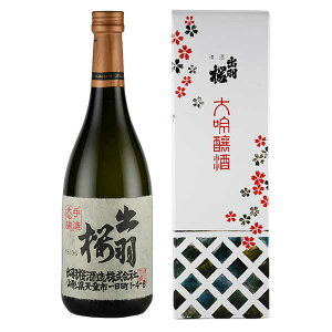 y|Cg5{ yVX[p[SALEԌzoH  720ml × 10{[P[X̔] ({B̂) [oH { R`  { ] Mtg v[g hV̓ Ε Ε