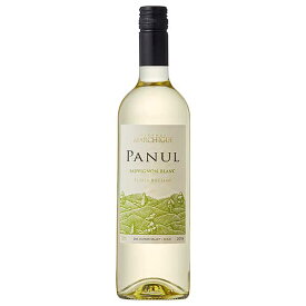 ビニェードス エラスリス オバリェ パヌール ソーヴィニヨン ブラン 750ml[MT チリ 白ワイン セントラル ヴァレー 辛口 655612] ギフト プレゼント 敬老の日 お歳暮 御歳暮