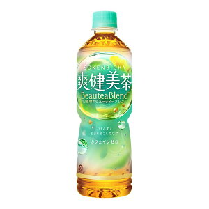 u [PET] 600ml x 24{[P[X̔] ({B̂) [RJR[   { 53349]