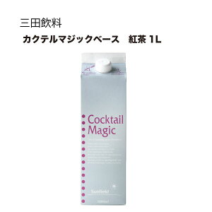 Oc JNe}WbNx[X g pbN 1L 1000ml Mtg v[g hV̓ Ε Ε