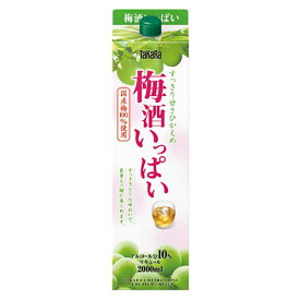 TaKaRa 梅酒いっぱい 10度 [紙パック] 2L 2000ml × 6本 [ケース販売]送料無料(沖縄対象外)[宝酒造 日本 千葉県]