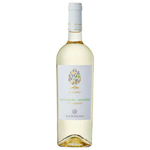 T }c@[m C v[ }@W[A \[Bj 750ml[MT C^A C v[A h 646763] Mtg v[g hV̓ Ε Ε