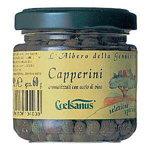 `FTkX Pbp[|Ђ [r] 100g × 12[P[X̔][e C^A (rl) 005117] Mtg v[g hV̓ Ε Ε