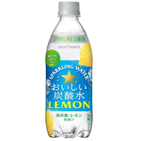 ポッカサッポロ おいしい炭酸水レモン [PET] 500ml × 24本[ケース販売] 送料無料(沖縄対象外) [2ケースまで同梱可能][ポッカサッポロ 飲料 炭酸水 日本 WQ91]