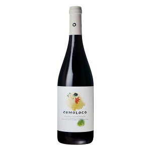 ICY RR I[KjbN SO2Y 750ml x 2{ ({B̂) [t XyC t~[ ԃC ~fBA{fB S294] Mtg v[g hV̓ Ε Ε