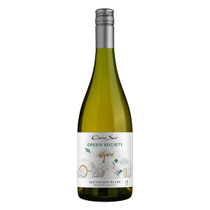 y|Cg2{ 11/1zRmX O[\TGeB \[Bj u 750ml[SMI ` C 618304] Mtg v[g hV̓ Ε Ε