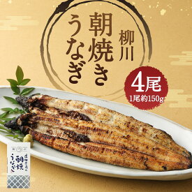 柳川朝焼き うなぎ白焼き 4尾入（約150g×4尾 合計約600g） 蒲焼のタレ・山椒付き 国産 鰻 九州産 冷蔵 送料無料 お歳暮 ギフト 丑の日 お中元 父の日 母の日 お祝い に 人気