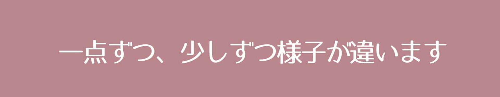 一点ずつ、少しずつ様子が違います