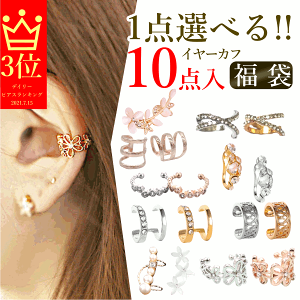 y|I]×Iׂ1+܂910Zbg!!z 2025 fB[X ANZT[ 10_Zbg C[Jt ܑΏ p[c Ԃ p[ C[JtƂ ܂ C[Jt sN