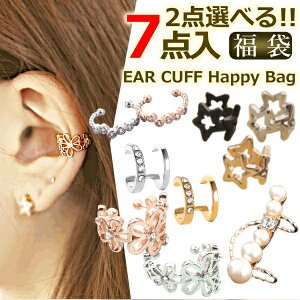 yD2_IׂzIׂ  2025 C[Jt NX}X fB[X ANZT[ 7_Zbg C[Jt lC  40 50 uh Ў  p[c Ԃ p[ sAX