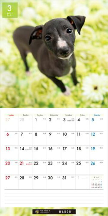 楽天市場】イタリアン・グレーハウンド PICTWANカレンダー DOG 2022年カレンダー 22CL-50011 : ヨコレコ 楽天市場店