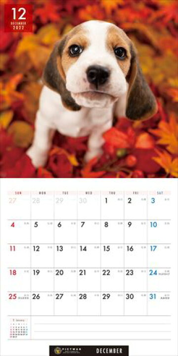 ミニビーグル PICTWANカレンダー2022年 DOG 2022年カレンダー 22CL-50031 （お得な特別割引価格）
