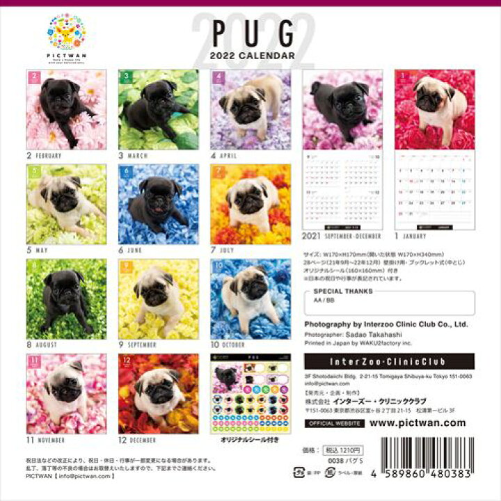楽天市場】ミニ パグ PICTWANカレンダー DOG 2022年カレンダー 22CL-50038 : ヨコレコ 楽天市場店