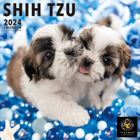 【おまけCL付】シー・ズー PICTWAN (ピクトワン) カレンダー DOG 【L版】 2024年カレンダー 24CL-50025L