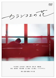 【おまけCL付】新品 カランコエの花 / (DVD) OED-10557-ODS