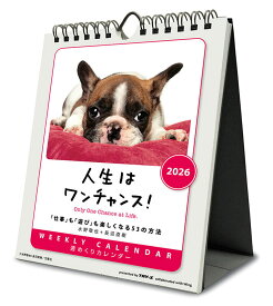 【残りわずか】人生はワンチャンス！ 卓上/壁掛 2026年 カレンダー CL-383 CL26-383
