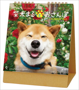  Č܂Ƃ 2026N J_[ CL-394 CL26-394