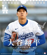 【残りわずか】31日万年日めくり 大谷翔平 第二章 2026年 カレンダー CL-554 CL26-554