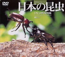 【おまけCL付】日本の昆虫 DVD映像図鑑 / (DVD) SDA25-TKO