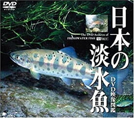 【おまけCL付】シンフォレスト 日本の淡水魚　DVD映像図鑑 / (DVD) SDA27-TKO