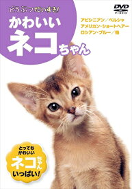 新品 どうぶつだいすき かわいいネコちゃん / (DVD) KID-1302