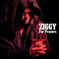 楽天市場】ziggy order madeの通販