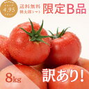＼楽天ランキング受賞！／山梨桃太郎トマト約8kg B品 味はA品と変わりなし！ご家庭用 簡易梱包 送料無料 安心安全 農家直送 ハウス桃太郎トマト 樹上完熟 トマトランキング1位 ジュース ピューレ ソース ペースト おうち時間 あす楽