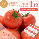 【P10倍】【母の日ギフト】＼楽天ランキング1位！／ トマト (約1kg) 送料無料 プレゼント 箱入り ボックス 安心安全 農家直送 ヨダファーム 樹上完熟 贈答用 ラッピング ジュース ピューレ ソース ペースト お取り寄せ あす楽