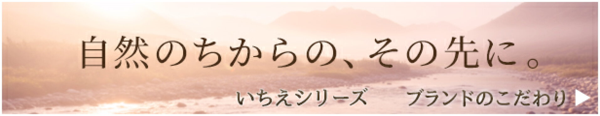 いちえシリーズ｜ブランドのこだわり