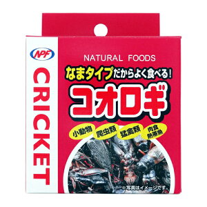 【訳あり】ナチュラルペットフーズ NPF コオロギ(缶入り) 40g