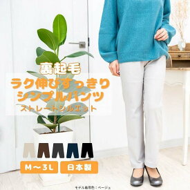 ストレッチパンツ 裏起毛 ストレートパンツ DDDシリーズ DDDパンツ パンツ レディース 暖かいパンツ 日本製 丈直し可能 送料無料 冬用パンツ あったかいパンツ ストレッチパンツ パンツスタイル 美脚 股上深い ハイウエスト やわらかい パウダータッチ