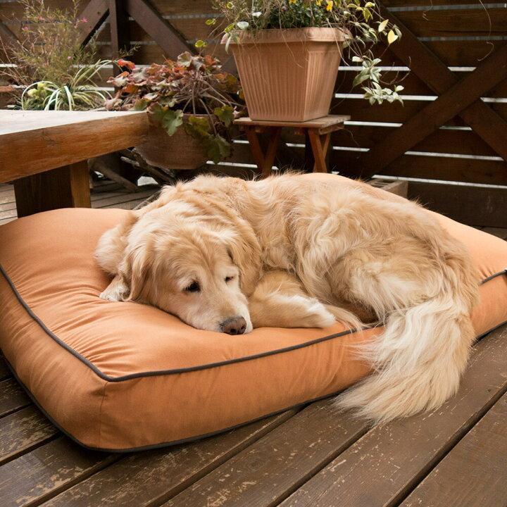 楽天市場 Doggybo Max ヨギボー ドギボー マックス 約98cm 75cm Yogibo ペット クッション ベッド 犬 いぬ Yogibo公式ストア楽天市場店