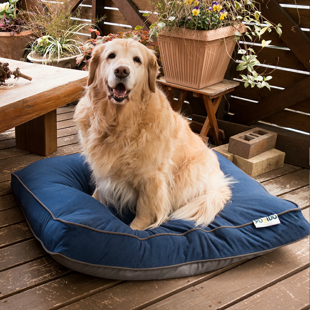 中型犬サイズの贅沢なベッド「Doggybo　Midi（ドギボー　ミディ）」愛するペットにも、最高のリラックスを。