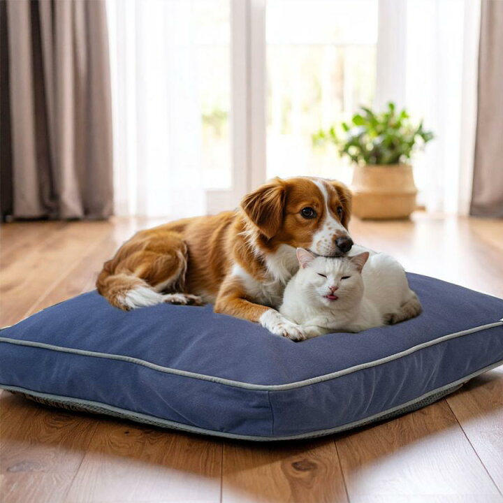 楽天市場】【10%OFF】【オンラインストア限定】 大型犬サイズのペット 