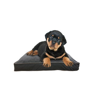 ^TCỸybgxbh Yogibo Doggybo Mini ( M{[hM{[ ~j j ybgɂAō̃bNX y ybgxbh NbV zc xbg 􂦂  v[g Mt