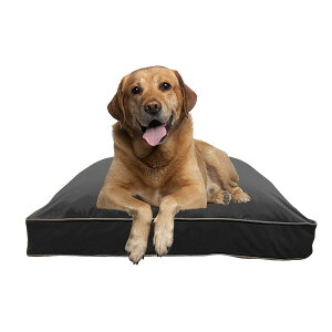 y|Cg10{ ubNtCf[z yICXgAz ^TCỸybgxbh ɂ Yogibo Doggybo Maxi M{[ hM{[ }bNX j y ybgxbh Nb