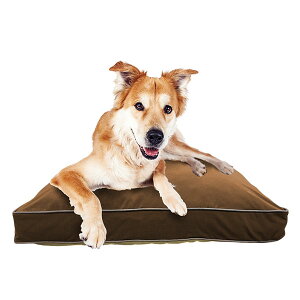 ���^���T�C�Y�̃y�b�g�x�b�h Yogibo Doggybo Midi�i ���M�{�[ �h�M�{�[ �~�f�B �j ������y�b�g�ɂ��A�ō��̃����b�N�X���B �y �y�b�g�x�b�h �N�b�V���� ���z�c �x�b�g �􂦂� ����� �v���[���g 