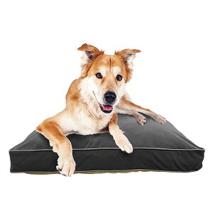 ���^���T�C�Y�̃y�b�g�x�b�h Yogibo Doggybo Midi�i ���M�{�[ �h�M�{�[ �~�f�B �j ������y�b�g�ɂ��A�ō��̃����b�N�X���B �y �y�b�g�x�b�h �N�b�V���� ���z�c �x�b�g �􂦂� ����� �v���[���g 