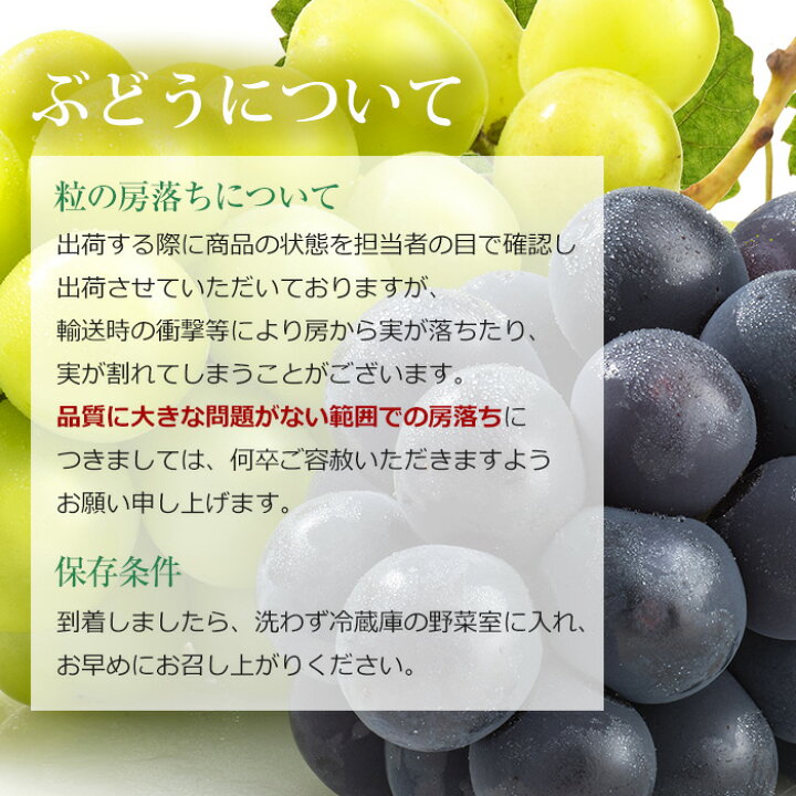 楽天市場 ぶどう 巨峰 種なし 約500g 1房 Jaフルーツ山梨 ハウス栽培 山梨県産 送料無料 産地直送 きょほう 種無し 葡萄 ブドウ フルーツ ギフト 贈答 プレゼント 内祝い 出産祝い 産直プレミアム 産直プレミアム 楽天市場 ぶどう 巨峰 種なし 約500g 1房 Jaフルーツ山梨 ハウス栽培 山梨県産 送料無料 産地直送 きょほう 種無し 葡萄 ブドウ フルーツ ギフト 贈答 プレゼント 内祝い 出産祝い 産直プレミアム 産直プレミアム