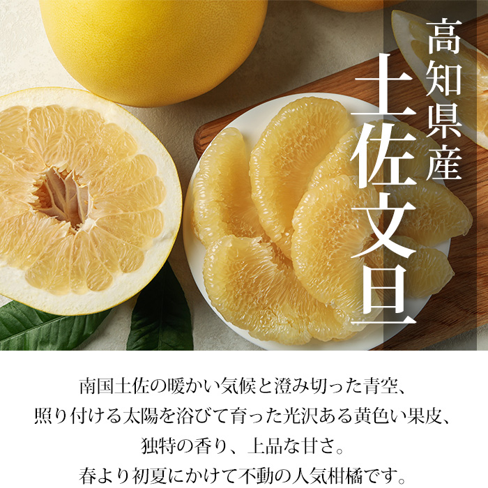 楽天市場】フルーツ 旬の柑橘類セット 約2.5kg 6個 土佐文旦