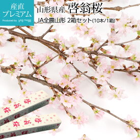 楽天市場 桜 花束 切花 花 観葉植物 花 ガーデン Diyの通販 楽天市場 桜 花束 切花 花 観葉植物 花 ガーデン Diyの通販