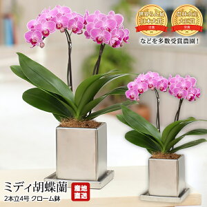 yGg?Ń|Cg10{z Ӓ ~fBӒ 2{ 4 N[ Ŗm Yn 傤 R`E    Mtg  v[g ̂ A Yv