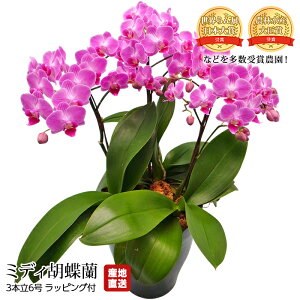 yGg?Ń|Cg10{z Ӓ ~fBӒ 3{ 6 Ŗm bsOt Yn 傤 R`E    Mtg  v[g ̂ A Y