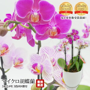 Ӓ }CNӒ 3{ 4 3FMIX Ŗm Yn 傤 R`E    Mtg  v[g ̂ A Yv~A